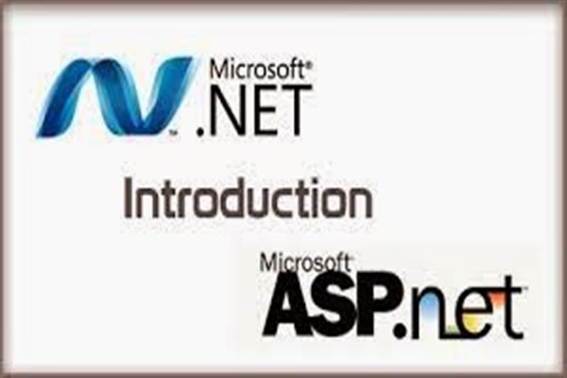 Tuyển thực tập sinh lập trình viên MVC NET